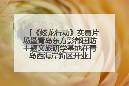 《蛟龙行动》实景片场暨青岛东方影都国防主题文旅研学基地在青岛西海岸新区开业