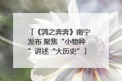 《鹑之奔奔》南宁发布 聚焦“小物种”讲述“大历史”
