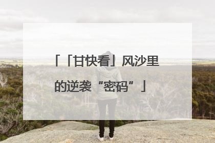 「甘快看」风沙里的逆袭“密码”
