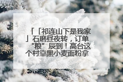 「祁连山下是我家」石磨昼夜转，订单“粮”辰到！高台这个村靠黑小麦面粉拿下成立来最大订单