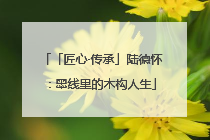 「匠心·传承」陆德怀：墨线里的木构人生