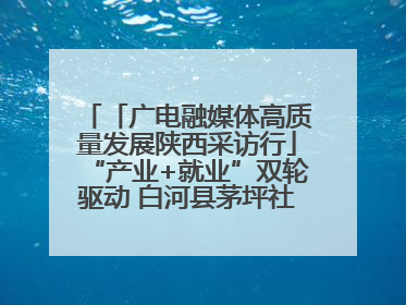 「广电融媒体高质量发展陕西采访行」“产业+就业”双轮驱动 白河县茅坪社区打造易地搬迁后扶新样本