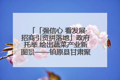 「强信心 看发展·招商引资拼落地」政府托举 绘出蔬菜产业新图景——镇原县甘肃聚广利现代设施蔬菜种植基地见闻
