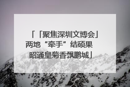 「聚焦深圳文博会」两地“牵手”结硕果 昭通皇菊香飘鹏城