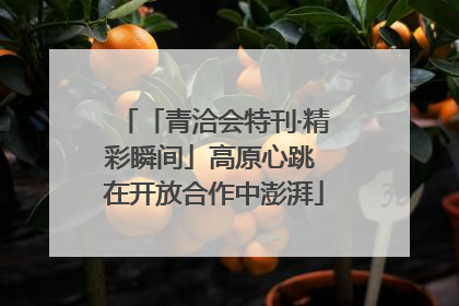 「青洽会特刊·精彩瞬间」高原心跳 在开放合作中澎湃