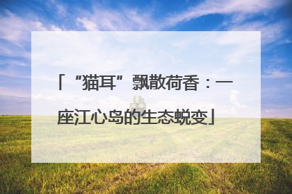 “猫耳”飘散荷香：一座江心岛的生态蜕变