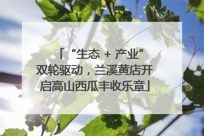 “生态 + 产业”双轮驱动，兰溪黄店开启高山西瓜丰收乐章