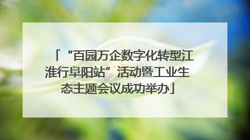“百园万企数字化转型江淮行阜阳站”活动暨工业生态主题会议成功举办