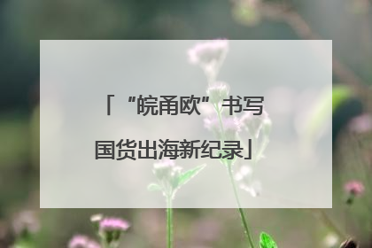 “皖甬欧”书写国货出海新纪录