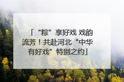 “粽”享好戏 戏韵流芳！共赴河北“中华有好戏”特别之约