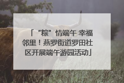 “粽”情端午 幸福邻里！燕罗街道罗田社区开展端午游园活动