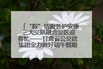 “粽”情服务护安康 三大交旅融合景区迎客忙——甘肃省公交建集团全力做好端午假期景区运营工作