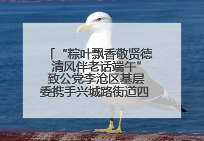 “粽叶飘香敬贤德 清风伴老话端午” 致公党李沧区基层委携手兴城路街道四流北路社区开展端午节主题活动