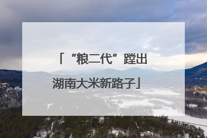 “粮二代”蹚出湖南大米新路子