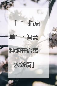 “一指点单”：智慧种烟开启惠农新篇
