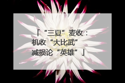 “三夏”麦收：机收“大比武” 减损论“英雄”
