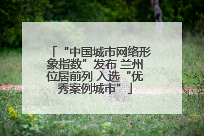 “中国城市网络形象指数”发布 兰州位居前列 入选“优秀案例城市”