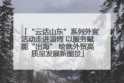 “云话山东”系列外宣活动走进淄博 以服务赋能“出海” 绘就外贸高质量发展新图景