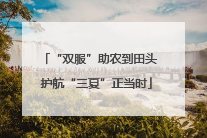 “双服”助农到田头 护航“三夏”正当时