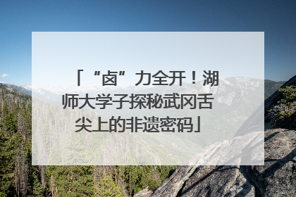 “卤”力全开！湖师大学子探秘武冈舌尖上的非遗密码