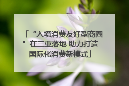“入境消费友好型商圈”在三亚落地 助力打造国际化消费新模式