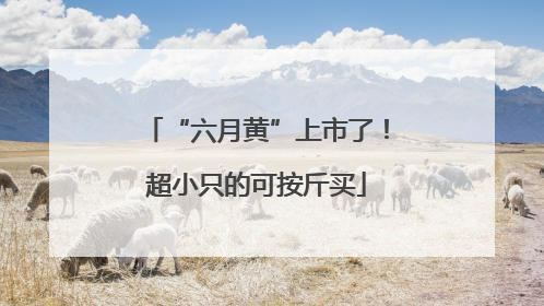 “六月黄”上市了！超小只的可按斤买