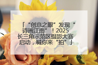 “创意之眼”发现“诗画江南”！2025长三角示范区摄影大赛启动，喊你来“拍”
