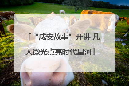 “咸安故事”开讲 凡人微光点亮时代星河