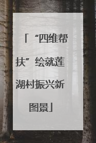 “四维帮扶”绘就莲湖村振兴新图景
