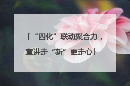 “四化”联动聚合力，宣讲走“新”更走心