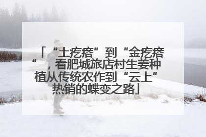 “土疙瘩”到“金疙瘩”，看肥城旅店村生姜种植从传统农作到“云上”热销的蝶变之路