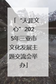 “天涯文心”2025年三亚市文化发展主题交流会举办