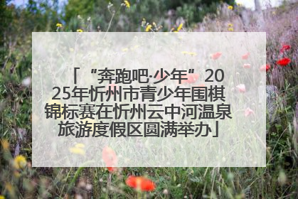 “奔跑吧·少年”2025年忻州市青少年围棋锦标赛在忻州云中河温泉旅游度假区圆满举办