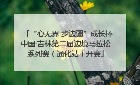 “心无界 步边疆”成长杯中国·吉林第二届边境马拉松系列赛（通化站）开赛