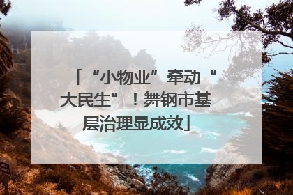 “小物业”牵动“大民生”！舞钢市基层治理显成效