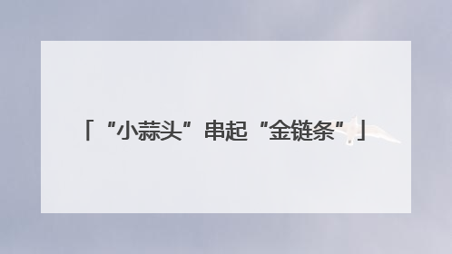 “小蒜头”串起“金链条”