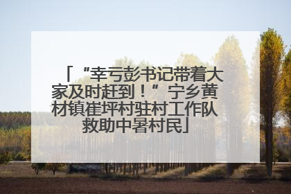 “幸亏彭书记带着大家及时赶到！”宁乡黄材镇崔坪村驻村工作队救助中暑村民