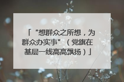 “想群众之所想，为群众办实事”（党旗在基层一线高高飘扬）