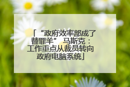 “政府效率部成了替罪羊” 马斯克：工作重点从裁员转向政府电脑系统
