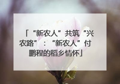 “新农人”共筑“兴农路”：“新农人”付鹏程的稻乡情怀