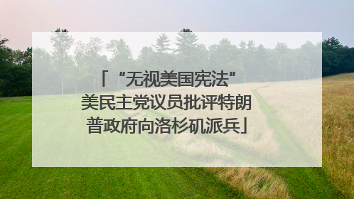 “无视美国宪法” 美民主党议员批评特朗普政府向洛杉矶派兵
