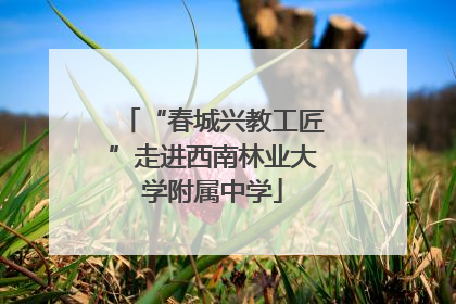 “春城兴教工匠”走进西南林业大学附属中学