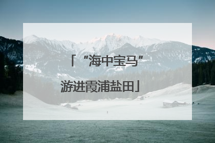 “海中宝马”游进霞浦盐田