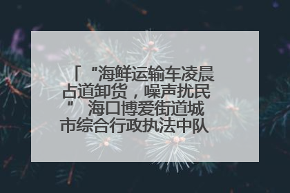 “海鲜运输车凌晨占道卸货，噪声扰民” 海口博爱街道城市综合行政执法中队：将联合交警加强长堤路一带巡逻