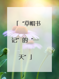 “草帽书记”的“一天”