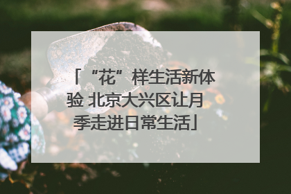“花”样生活新体验 北京大兴区让月季走进日常生活