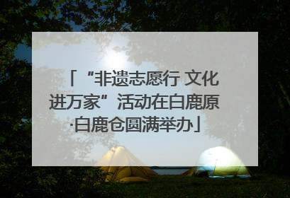 “非遗志愿行 文化进万家”活动在白鹿原·白鹿仓圆满举办