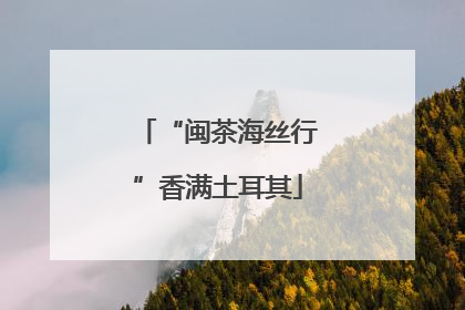 “闽茶海丝行”香满土耳其