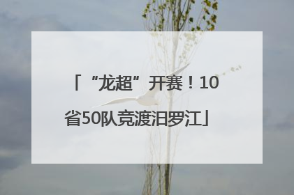 “龙超”开赛！10省50队竞渡汨罗江