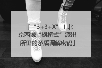 “3+3+X”！北京西城“枫桥式”派出所里的矛盾调解密码